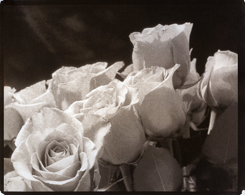 437735288_d06634f0c1.jpg