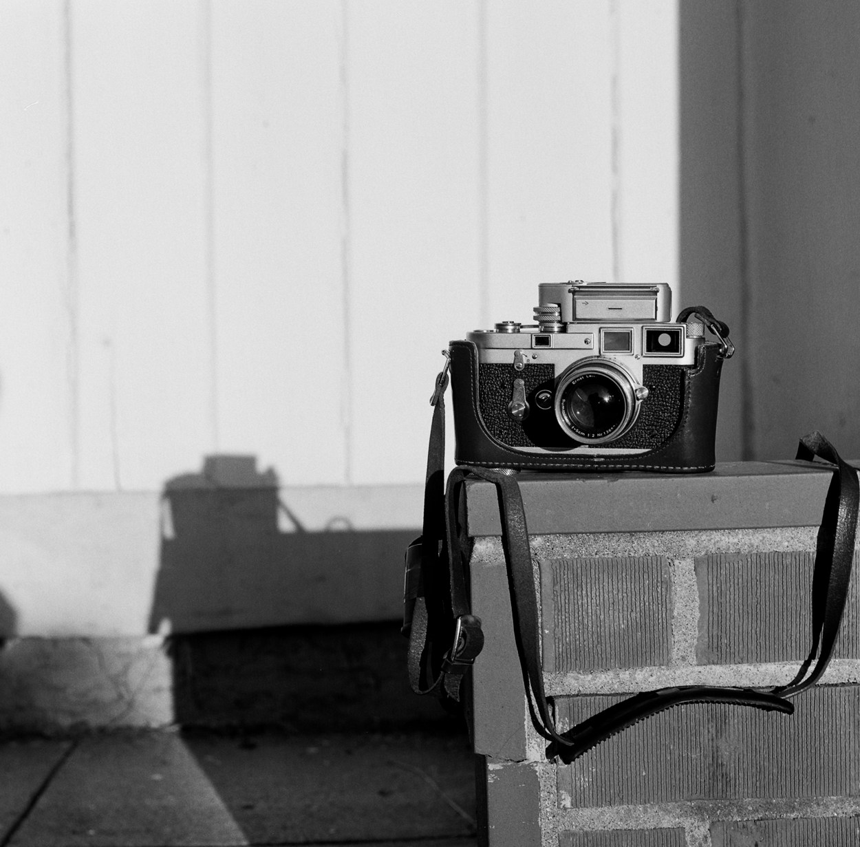 20211020Leica_1250_34920008.jpg