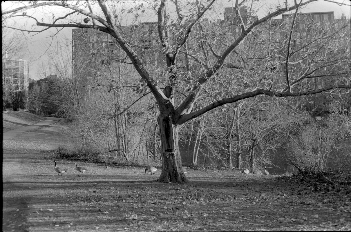 K2-TMAX100-Nov20-21.jpg
