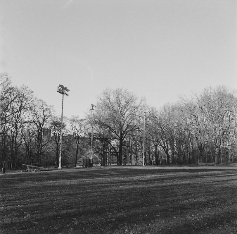 DSC01225.jpg