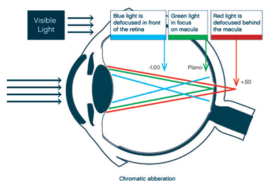 fig2.jpg