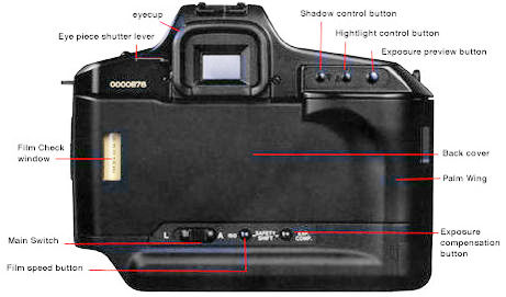 t90backviewindex.jpg