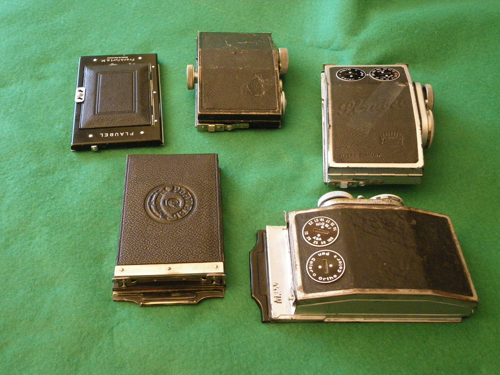 50890310633_9de0fbebd9_b.jpg