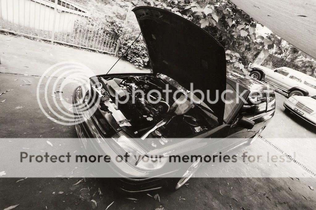 z2a.jpg