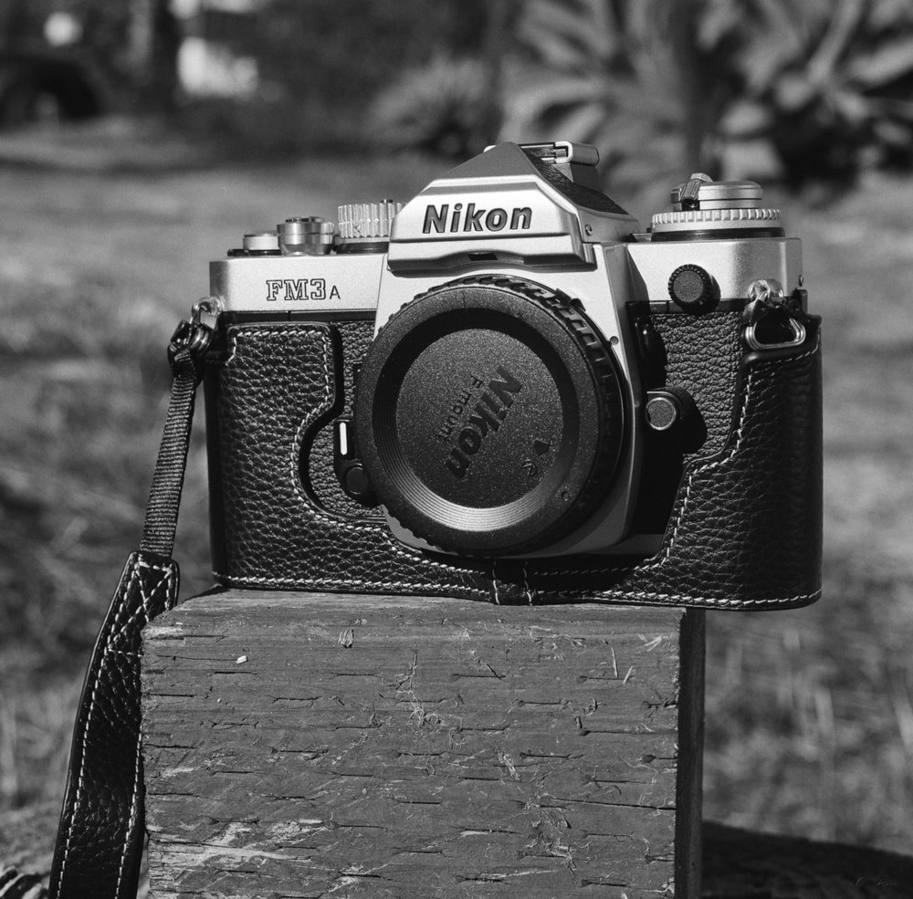 20211004Delta400_1000px_25280002.jpg