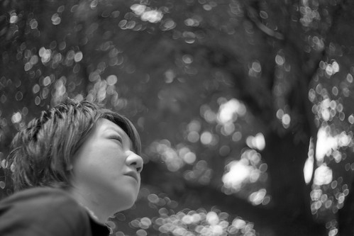 463127282_a81b270c3a.jpg