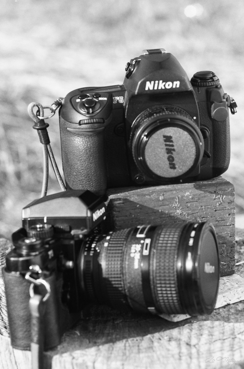 FujiAcros_1250_82210031.jpg