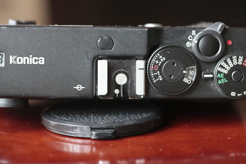 _MG_6761.jpg