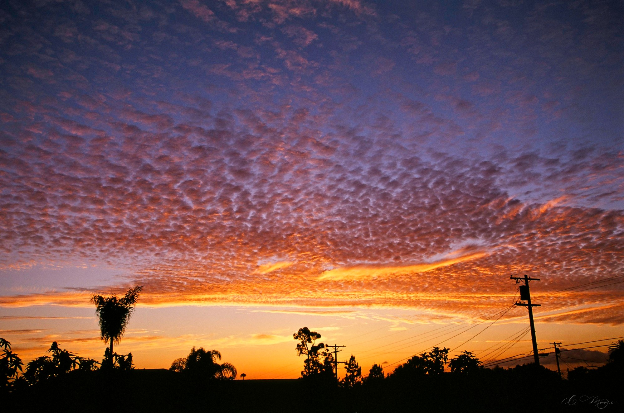 Velvia_135_SunsetFromHome_64920031.jpg