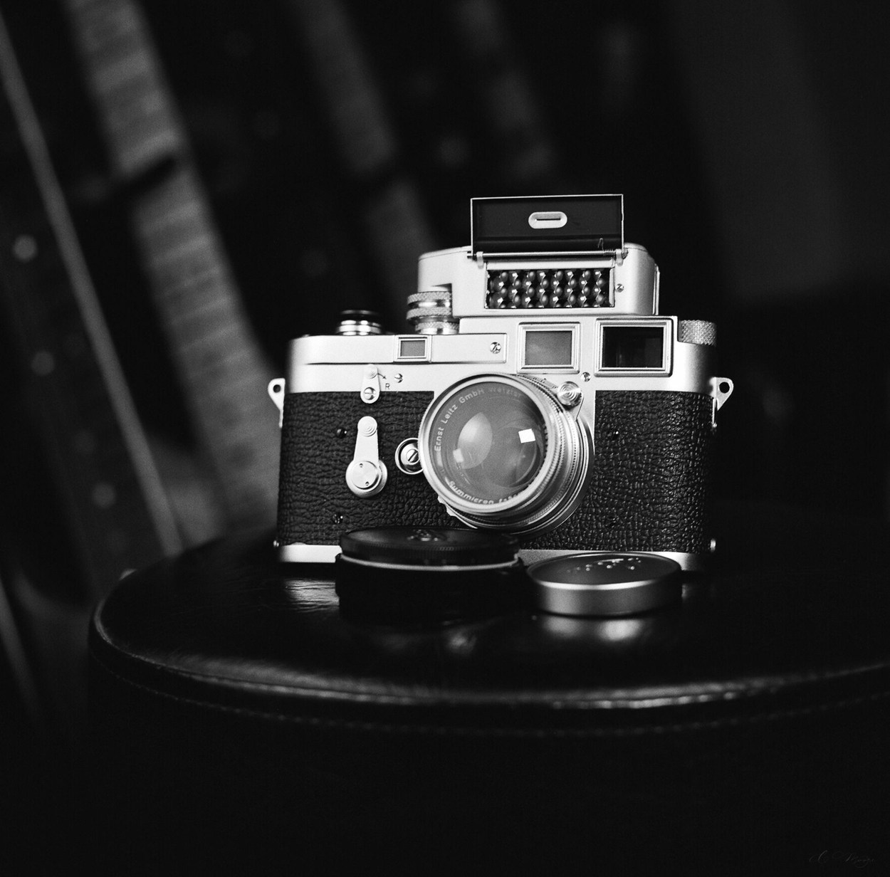 20211020Leica_1250_34920004.jpg