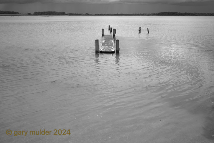 DSC_0095_1.jpg