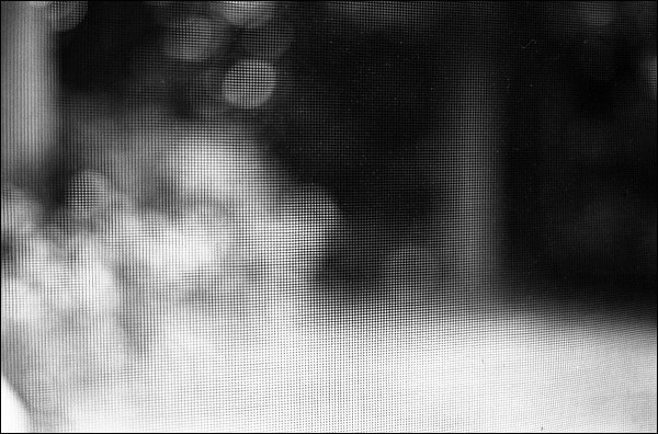 screendoor_600.jpg