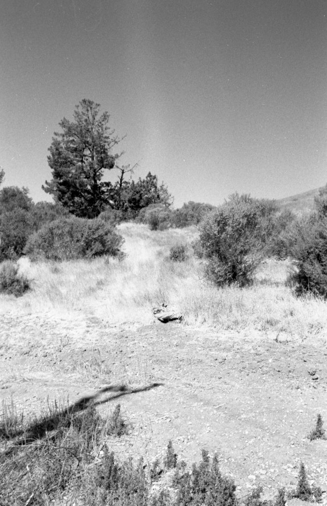 SJVmtB0h.jpg