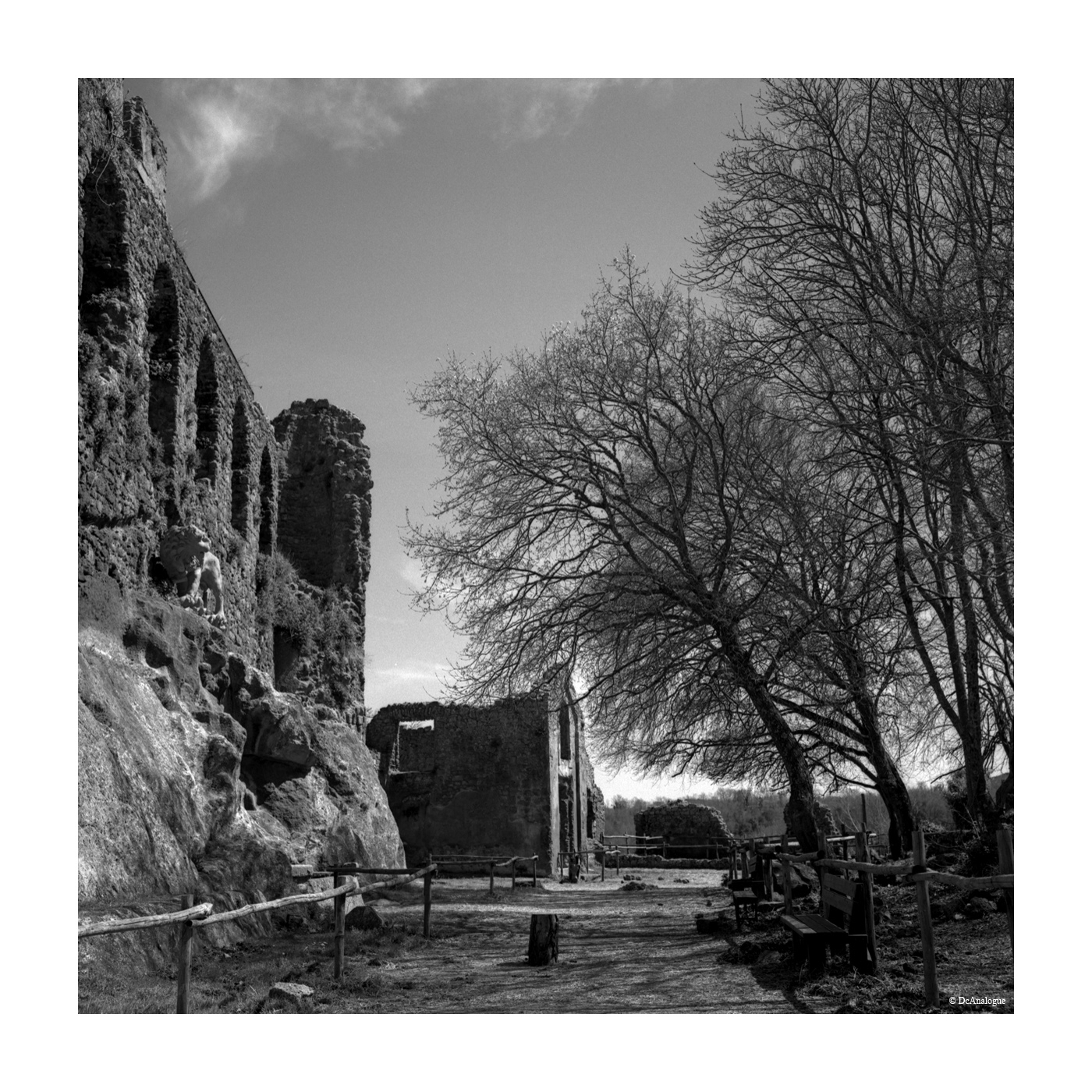 001-rollei_xp2-super_001.jpg