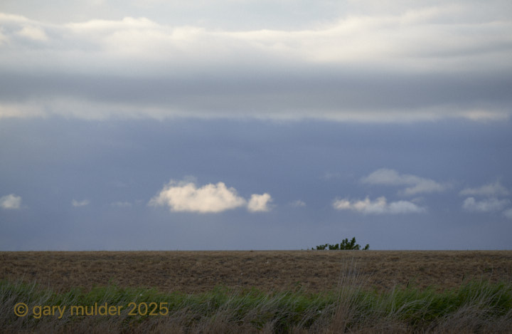 NZ7_0403.jpg