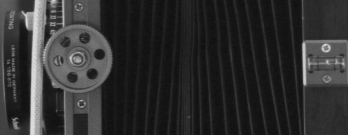 8x10_0002_crop.jpg
