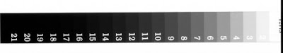 21stepG2.jpg