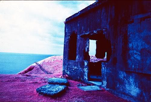 IR004.jpg