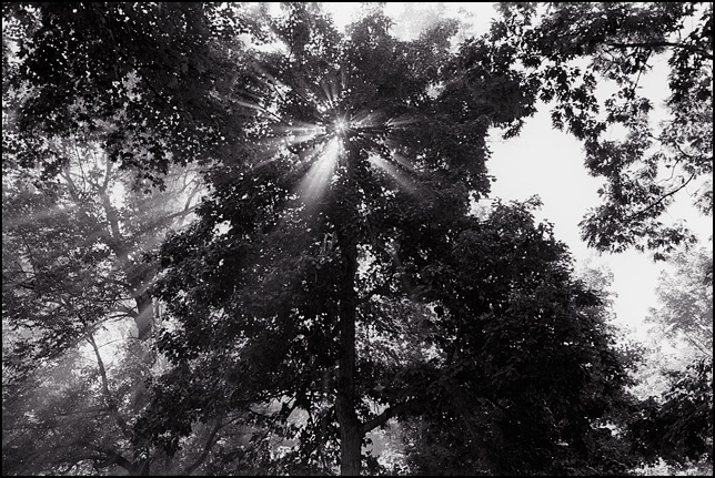 leica2.jpg
