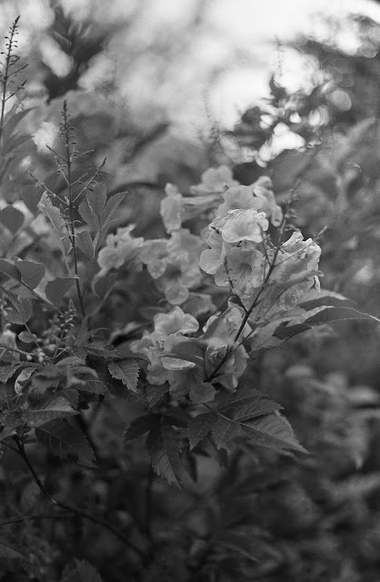 img025.jpg