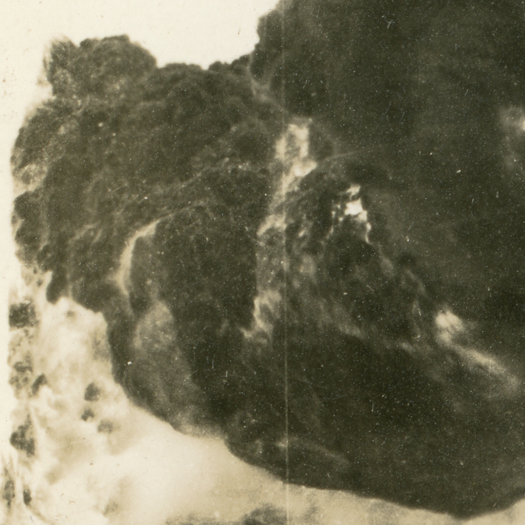 4%20crop%20scan%20with%20no%20rainbow%20 4%20crop%20scan%20with%20no%20rainbow%20