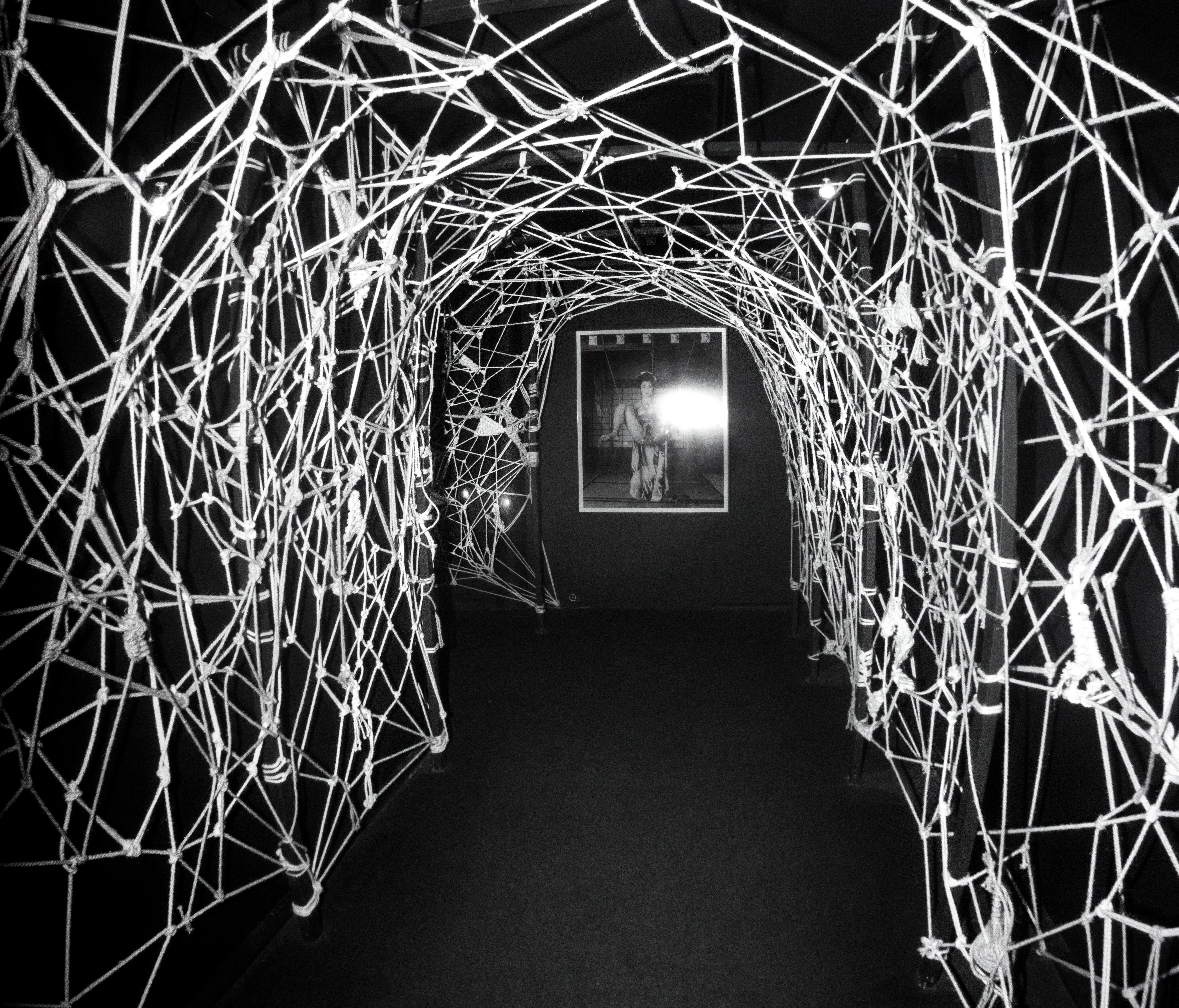 Araki%20Midori%20Museum%20of%20Sex%20D.D Araki%20Midori%20Museum%20of%20Sex%20D.D