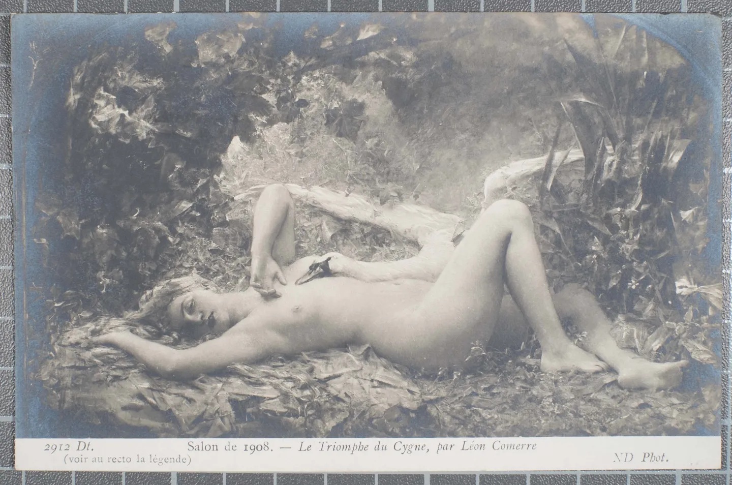 Copy%20stand%20photo%20D.D.Teoli%20Jr.%2 Copy%20stand%20photo%20D.D.Teoli%20Jr.%2