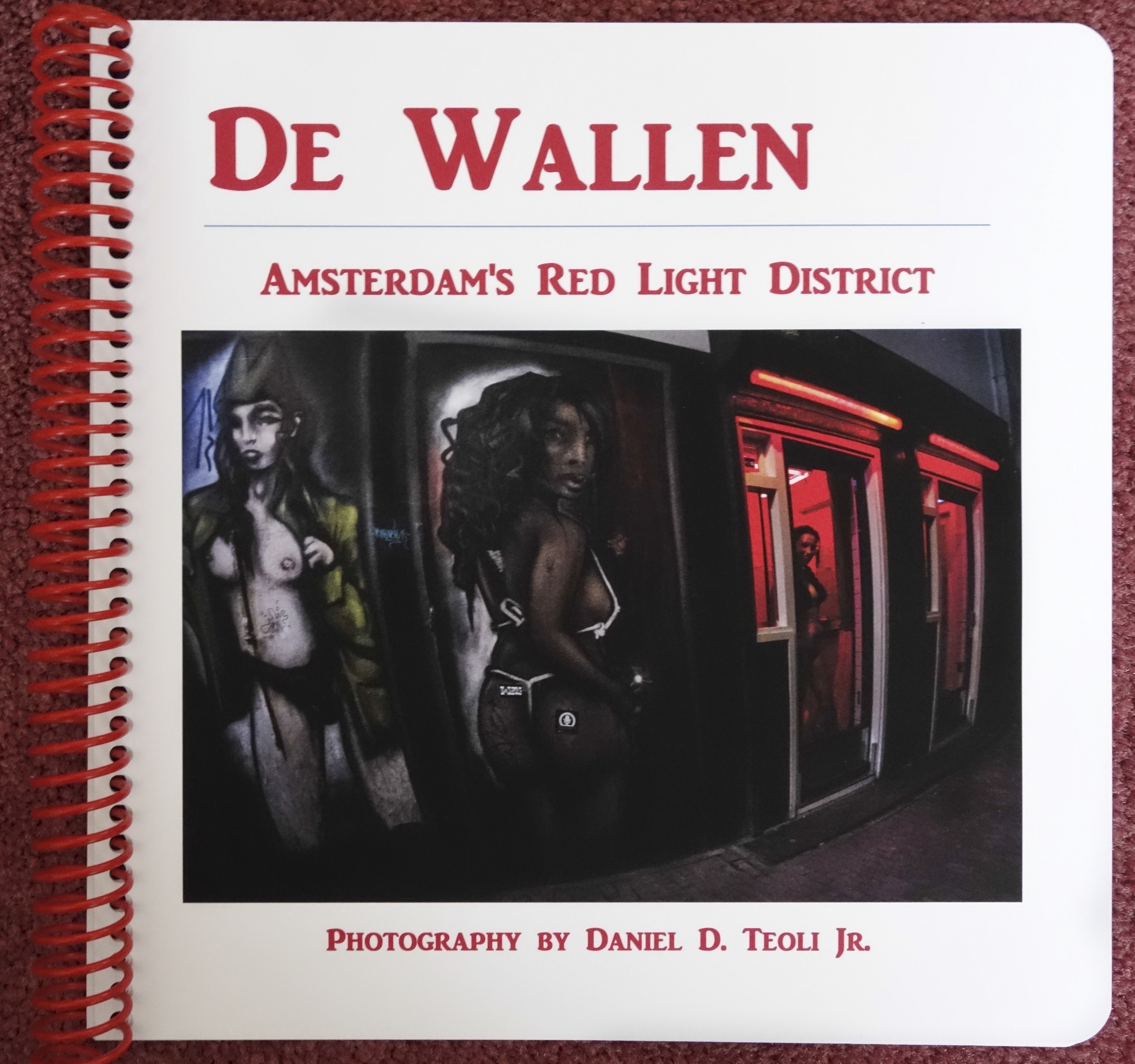 1-cover-de-wallen-artists-book-copyright-2014-daniel-d-teoli-jr-mr1.jpg
