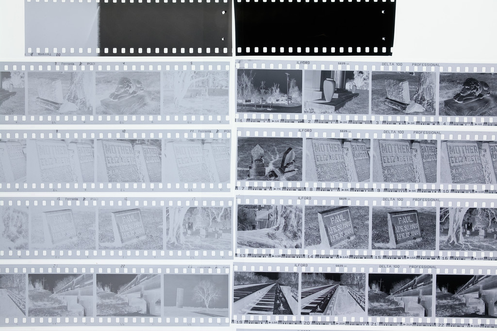 p33_vs_delta_100_negatives-t5240-XL.jpg